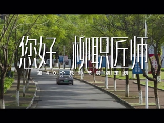 您好，柳职匠师